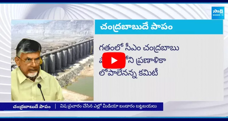 Polavaram Damage International Professionals Committee