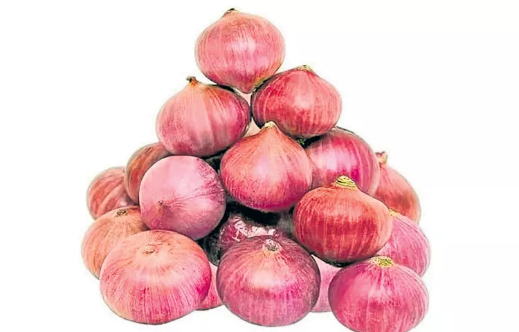 Onion price hike