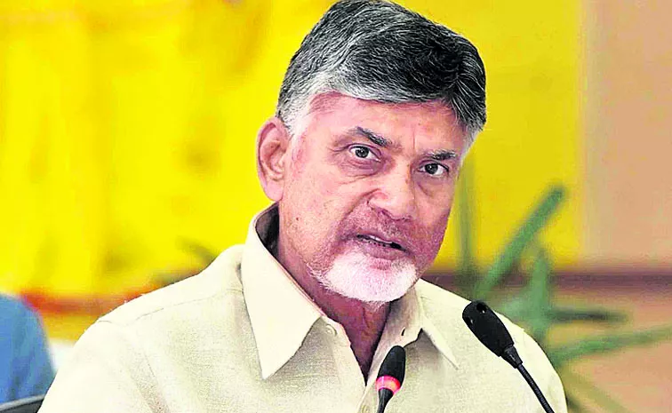 CM Chandrababu fires on employees in Nellore district