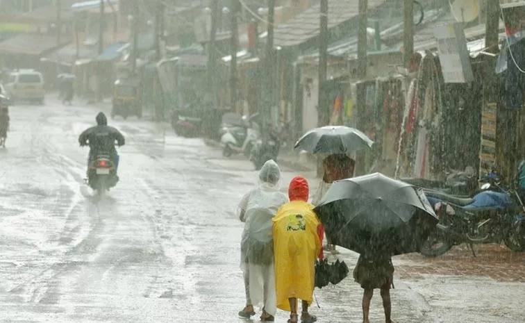 Education Department Declared Holidays Due To Heavy Rains