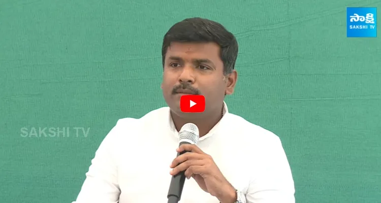 Gudivada Amarnath Comments On CM Chandrababu