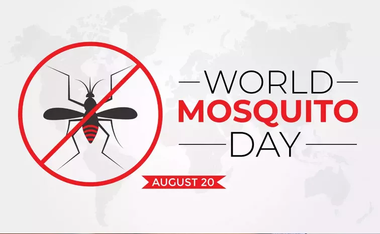 World Mosquito Day: Significance & History