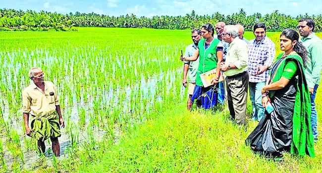 ఈ–క్రాప్‌ నమోదు తప్పనిసరి 