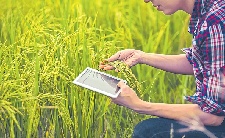 Sakshi Guest Column On Digital Farming