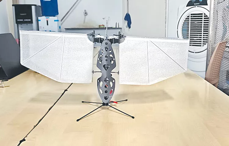 Bio inspired drones in the shape of insects and birds