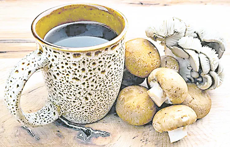 Benefits And Precautions With Mushroom Coffee