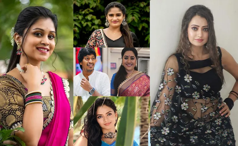 Bigg Boss Telugu 8: These Contestants May Participate in BB Show