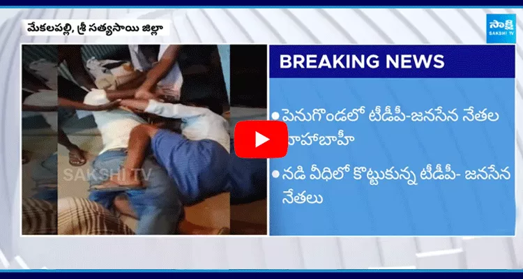 TDP Janasena Activists Fight In Satya Sai District 