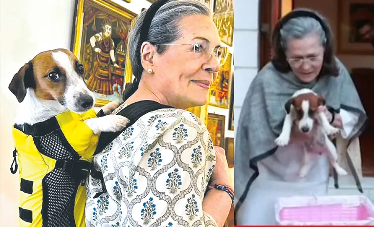 Rahul Gandhi on pics of Sonia with pet dog Noorie