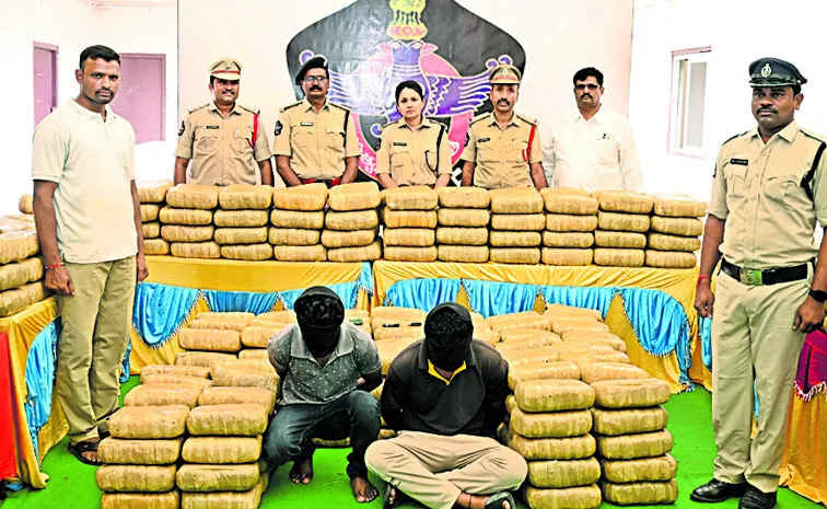 9 quintals of marijuana seized: Anacapalli