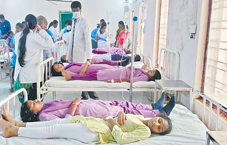 Five female students were injured by rats