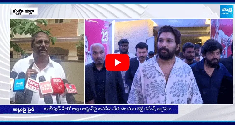 Janasena Leader Shocking Comments On Allu Arjun