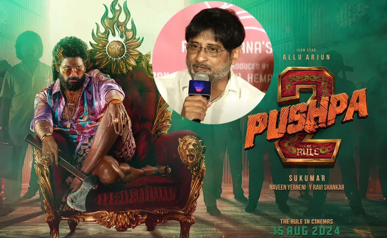 Mythri Movie Producer Ravi Shankar Pushpa 2 Updates