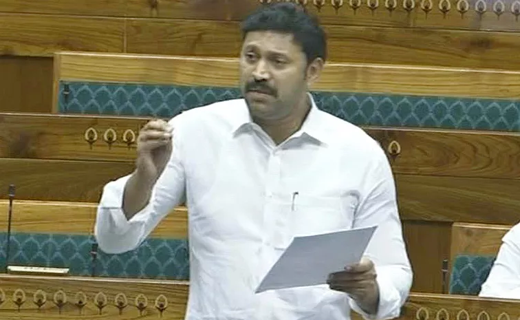 YSRCP MP Avinash Demand Special For AP In Lok sabha