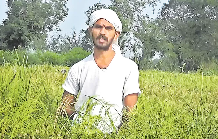 Yarru Bapa Rao Who Took Up Nature Farming In Chemical Cultivation Against Cancer Sagubadi News