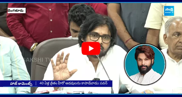 AP Deputy CM Pawan Kalyan Sensational Comments On Allu Arjun 