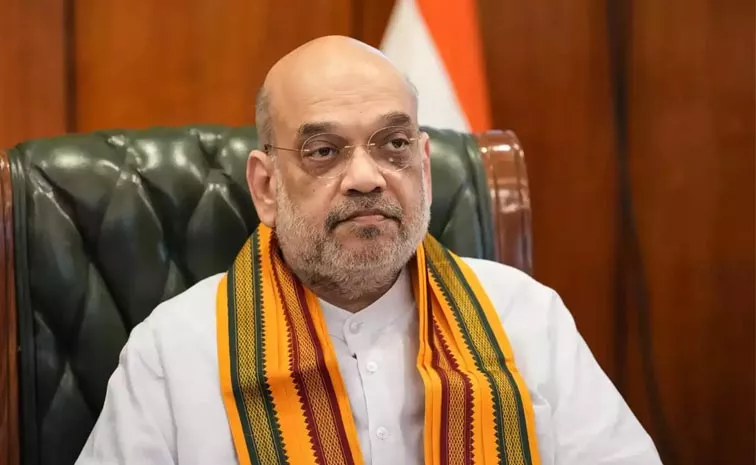 Amit Shah Says Panel Monitor The Situation On India-Bangladesh Border