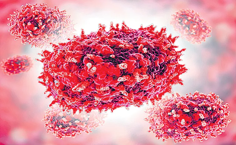 Laboratory testing has confirmed the presence of Mpox virus of the West African clade 2 in the patient