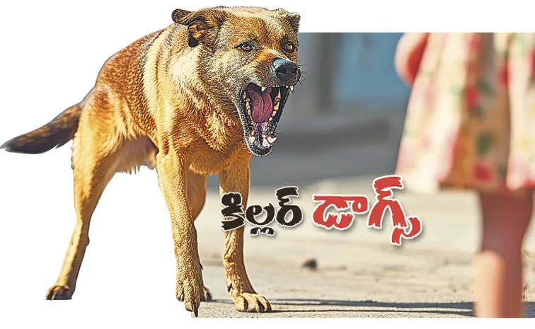 Stray Dog Attack Cases Rising In Telangana