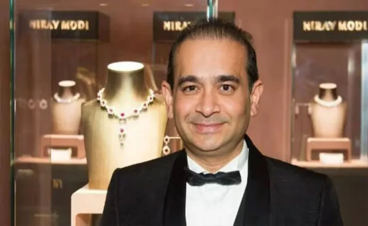 Big Setback For Nirav Modi ED Seizes Assets Worth Rs 29.75 Crore In PNB Fraud Case