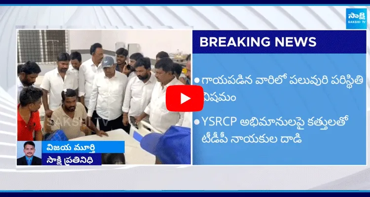 TDP Rowdies Attack On YSRCP Activists At Pedduru Chittoor District