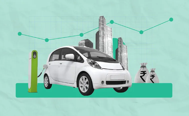 Dont Make EV Investments In India