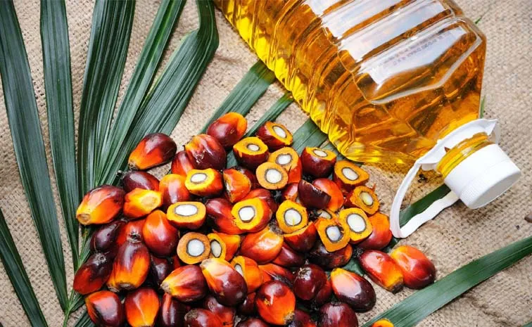 Is Palm Oil Bad For You Nutrition Facts