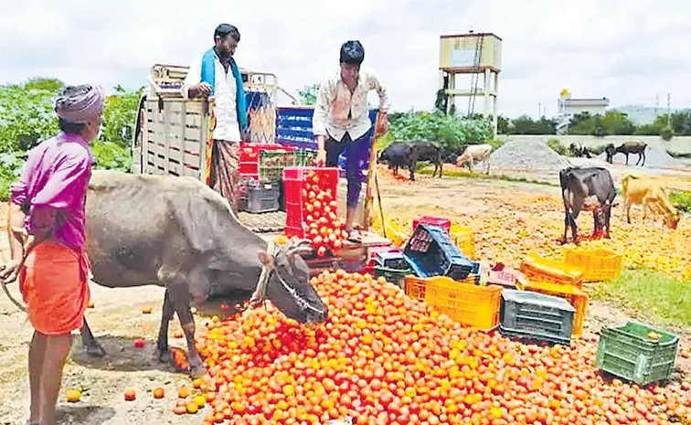 Sakshi Guest Column On Minimum Support Price to farmers