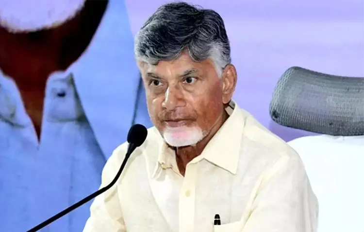 CM Chandrababu appealed to the central team