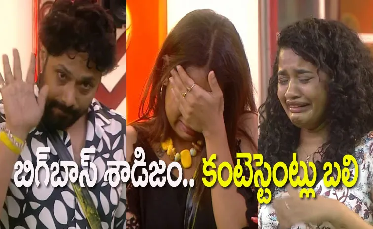 Bigg Boss Telugu 8, Sep 13th Full Episode Review: Special Gifts for Housemates