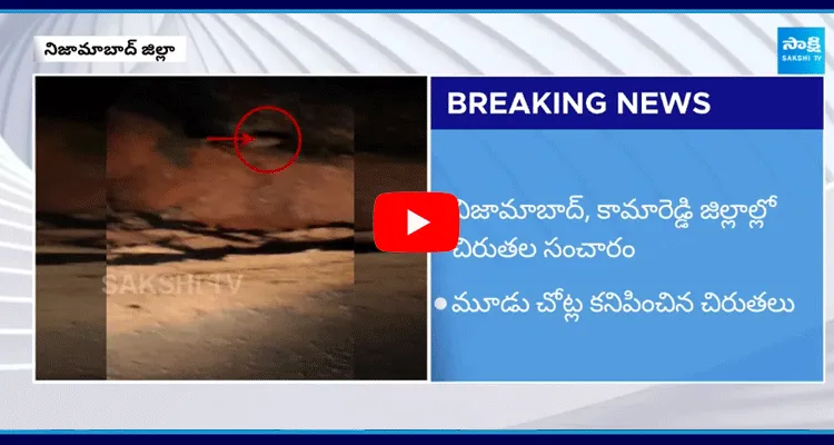 Tigers Movement Captured On CCTV Camera In Nizamabad