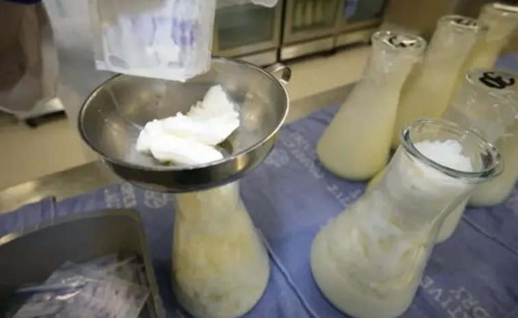 13 People Died After Drinking Poisoned Milk