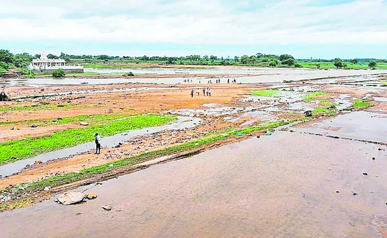 telangana crop damage due heavy rains