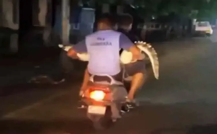 Crocodile on a Scooter Viral Video