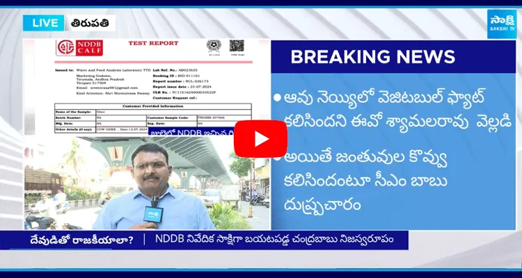 NDDB Sensational Report On Tirumala Prasadam