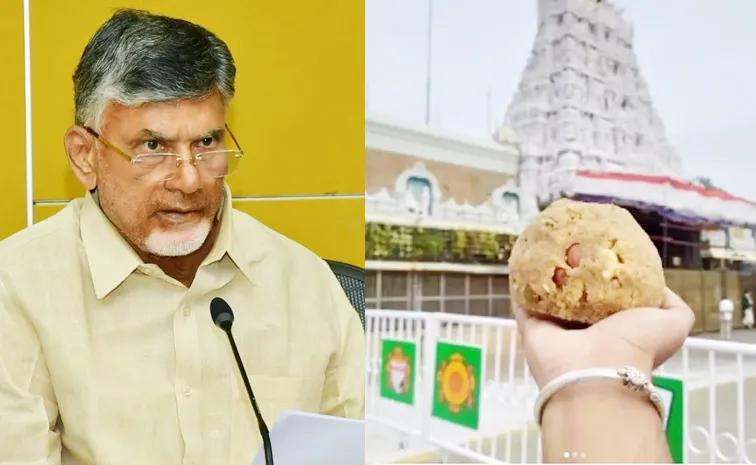 KSR Comment On Chandrababu Psycho Politics with TTD Laddu