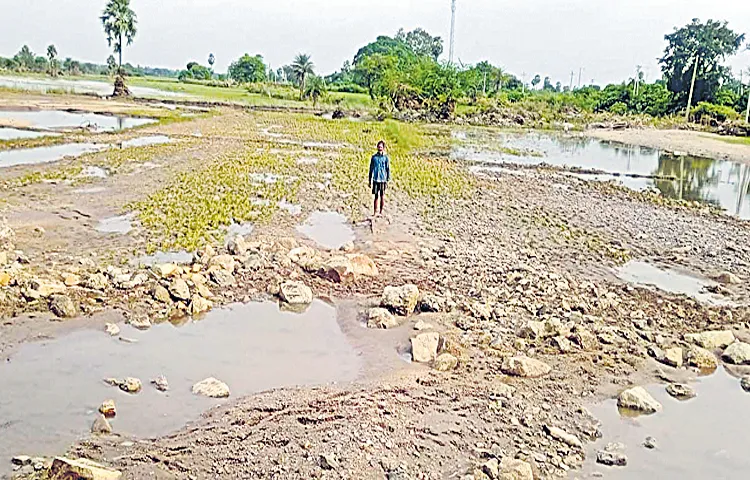 A total of 68345 acres were affected in Khammam district