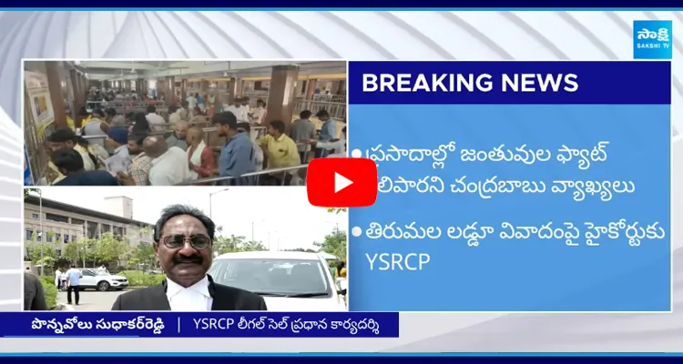 YSRCP to High Court About Tirupati Laddu Issue 