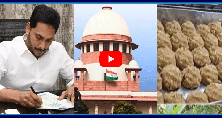 YS Jagan Letter To PM And Supreme Court CJ On Tirumala Laddu Prasadam Issue