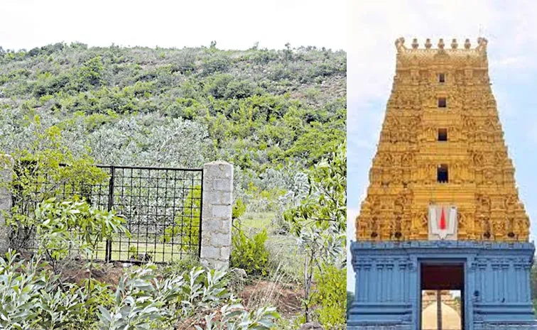 AP Chandrababu Govt Focus On Temple Related Lands