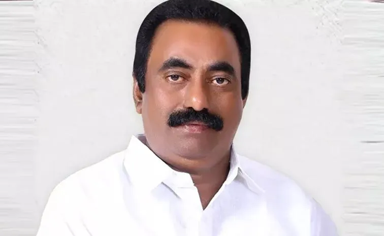 TDP MLA Kavya Krishna Reddy Warning To Own Party Leaders