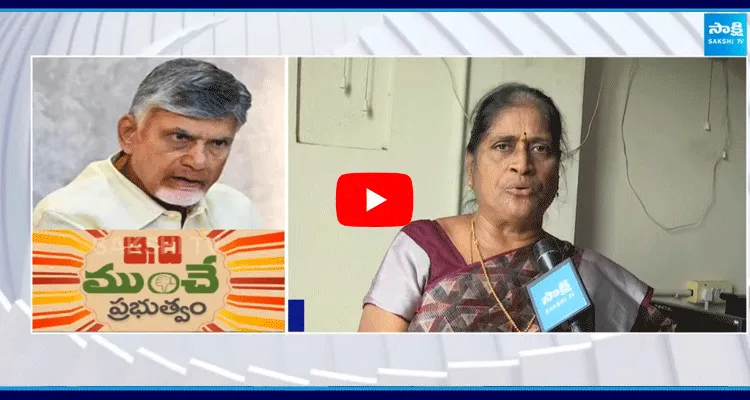 Chandrababu 100 Days Ruling Public Talk 