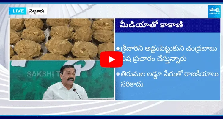 Kakani Govardhan Reddy Comments On Chandrababu 