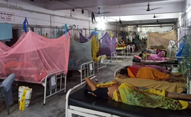 Dengue Patients are Increasing Rapidly in Bihar