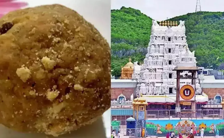 Ap Government Set Up SIT To Investigate Tirumala Laddu Issue1