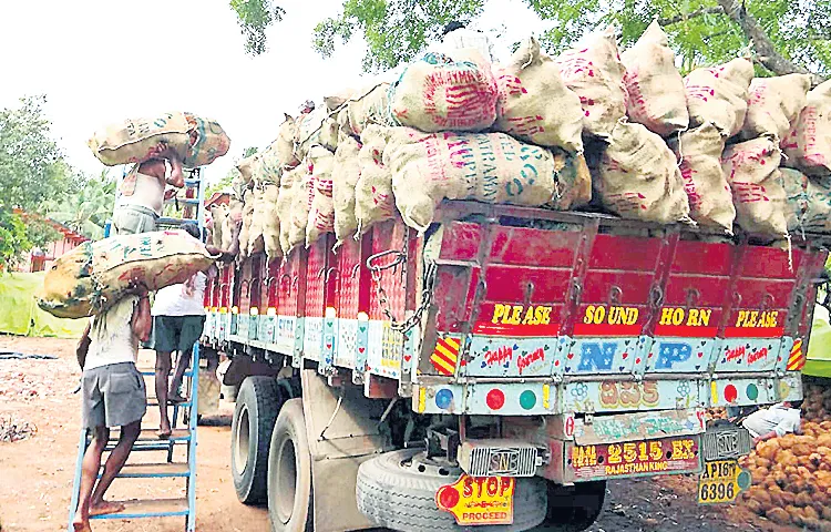 Increased price of coconut