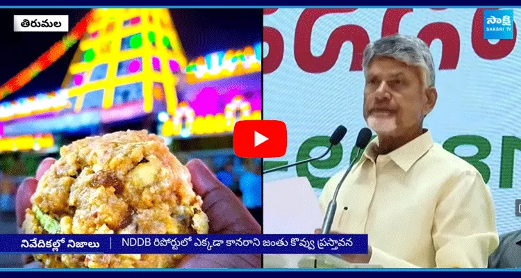 Chandrababu Tirupati Laddu Issue