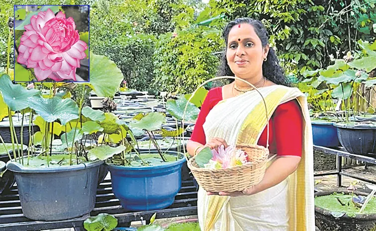 A Simple Idea To Grow Lotus Helps This Kerala Woman Lathika Sudhan