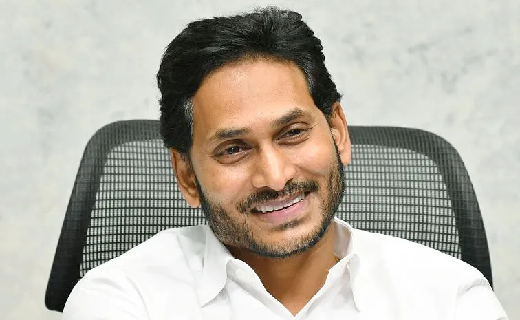 YS Jagan To Meet Krishna, NTR, Guntur Leaders Over YSRCP New Dist President Details