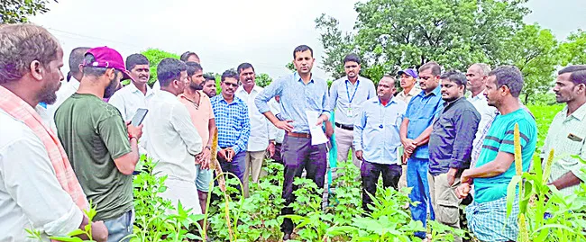 సేంద్